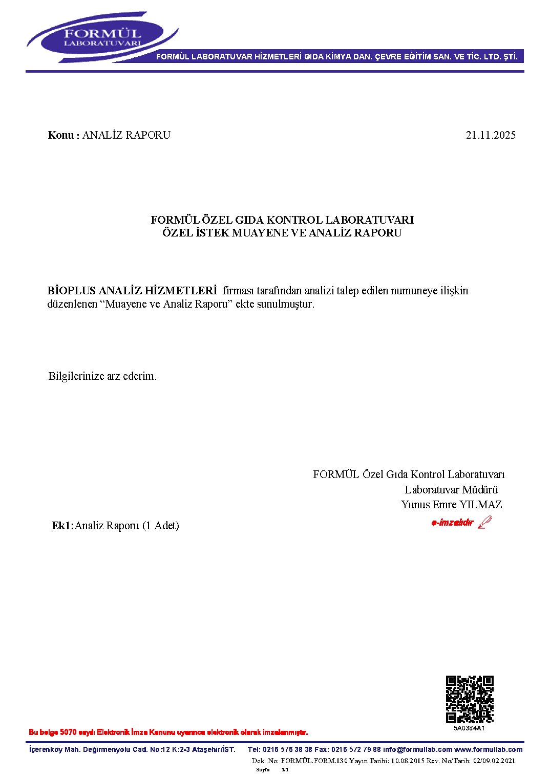 Analiz Raporu-2 — 1. sayfa önizleme